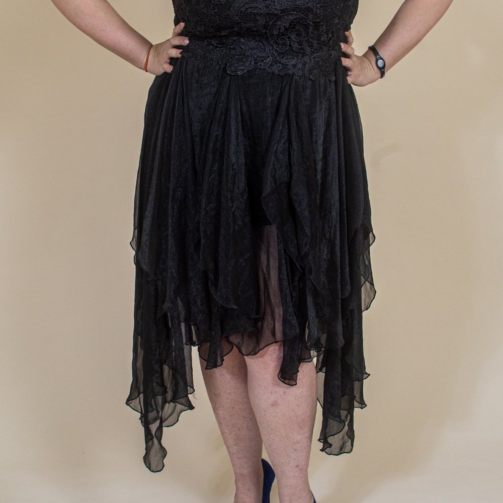 Lace and Chiffon Plus Size Dress 2x